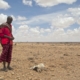 Die Dürre in Somaliland hat vielen Menschen die Lebensgrundlage geraubt. Foto: Tearfund Deutschland